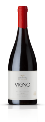 VIGNO Carignan