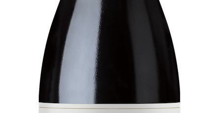VIGNO Carignan