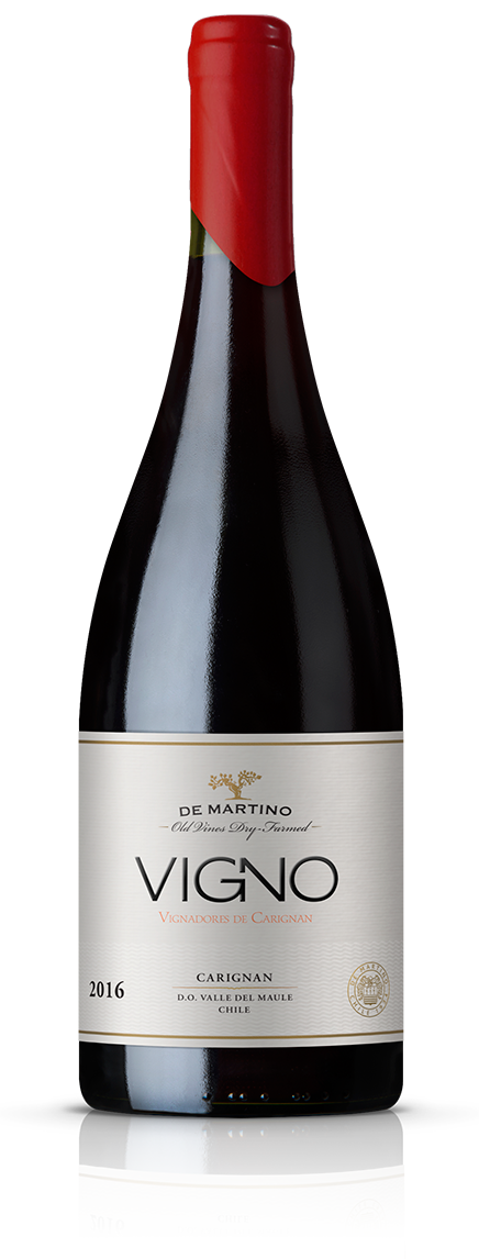 VIGNO Magnum