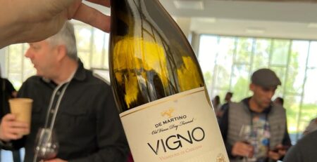 VIGNO carignan