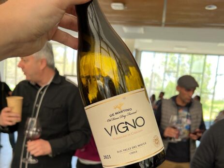 VIGNO carignan