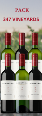Pack 347 Vineyars Reserva 6 botellas (copia) (copia) (copia)