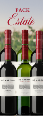 Compra 6 botellas de vino Reserva para celebrar este 18 de septiembre. 